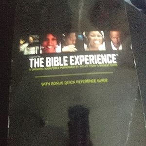 The Bible Experience